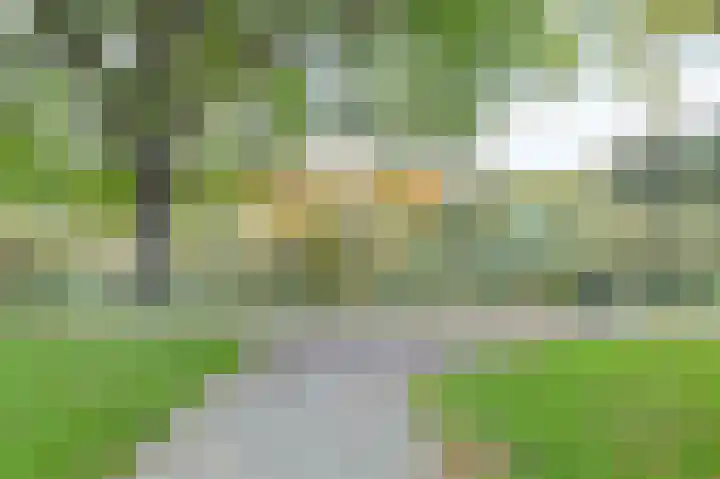 Oeverpad 401 Amsterdam thumbnail 19