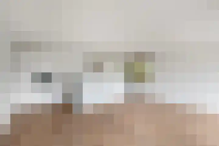Oeverpad 401 Amsterdam thumbnail 7