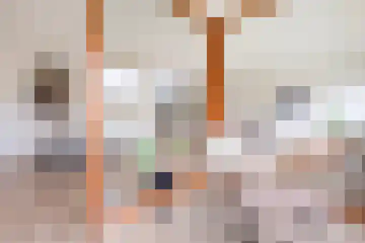 Oeverpad 405 Amsterdam thumbnail 10