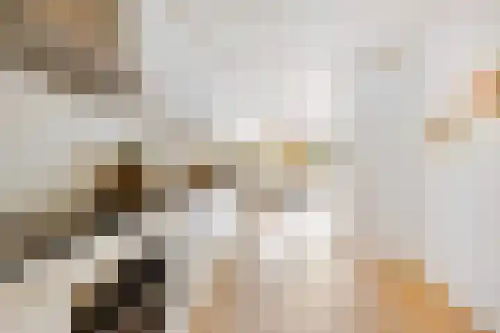 Oeverpad 405 Amsterdam thumbnail 13