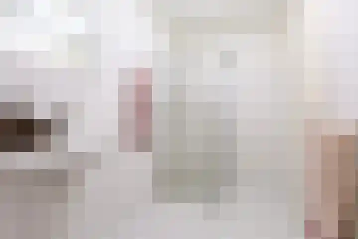 Oeverpad 405 Amsterdam thumbnail 16