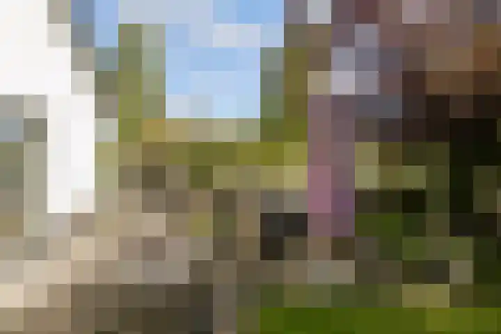Oeverpad 405 Amsterdam thumbnail 8