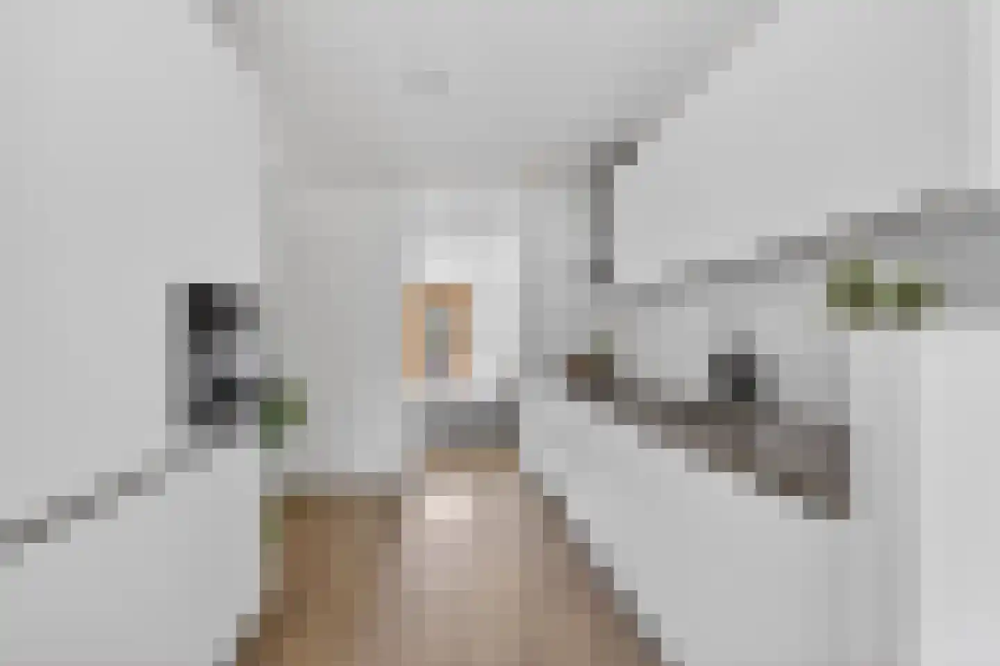 Oeverpad 412 Amsterdam thumbnail 13