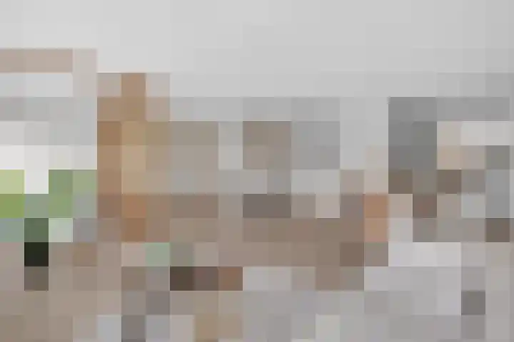 Oeverpad 412 Amsterdam thumbnail 7