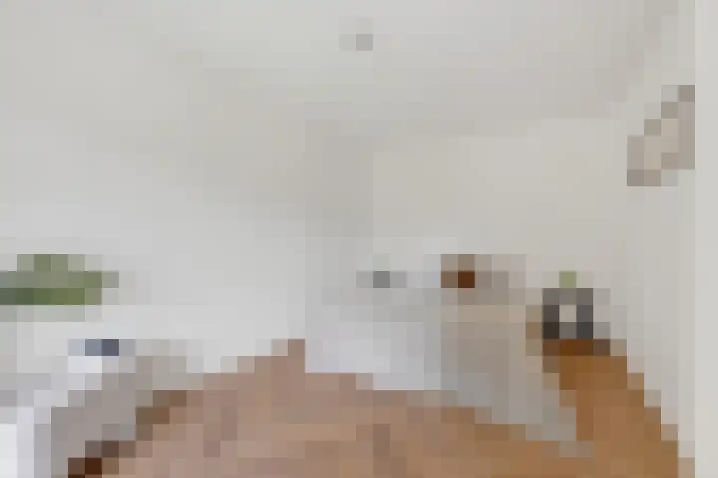 Oeverpad 414 Amsterdam thumbnail 17
