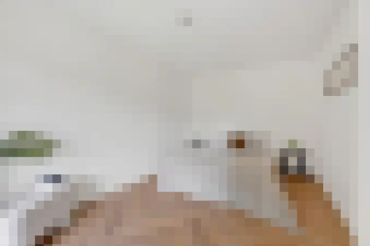 Oeverpad 414 Amsterdam thumbnail 17