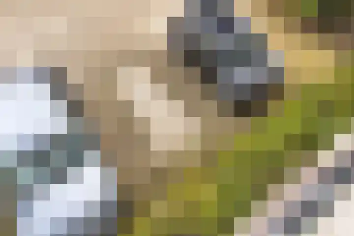 Oeverpad 415 Amsterdam thumbnail 16