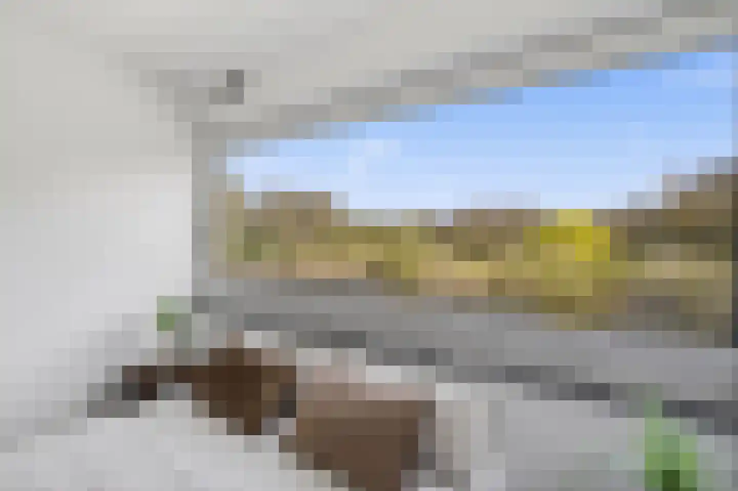 Oeverpad 415 Amsterdam thumbnail 17