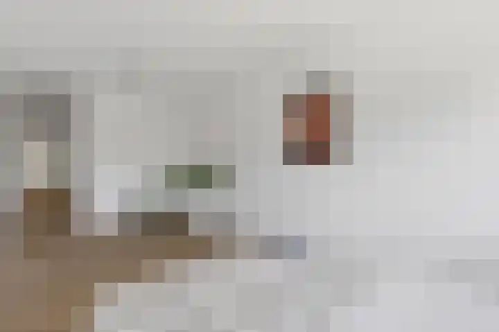 Oeverpad 415 Amsterdam thumbnail 19