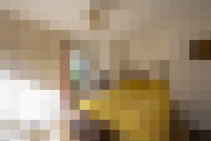 Oeverpad 415 Amsterdam thumbnail 28