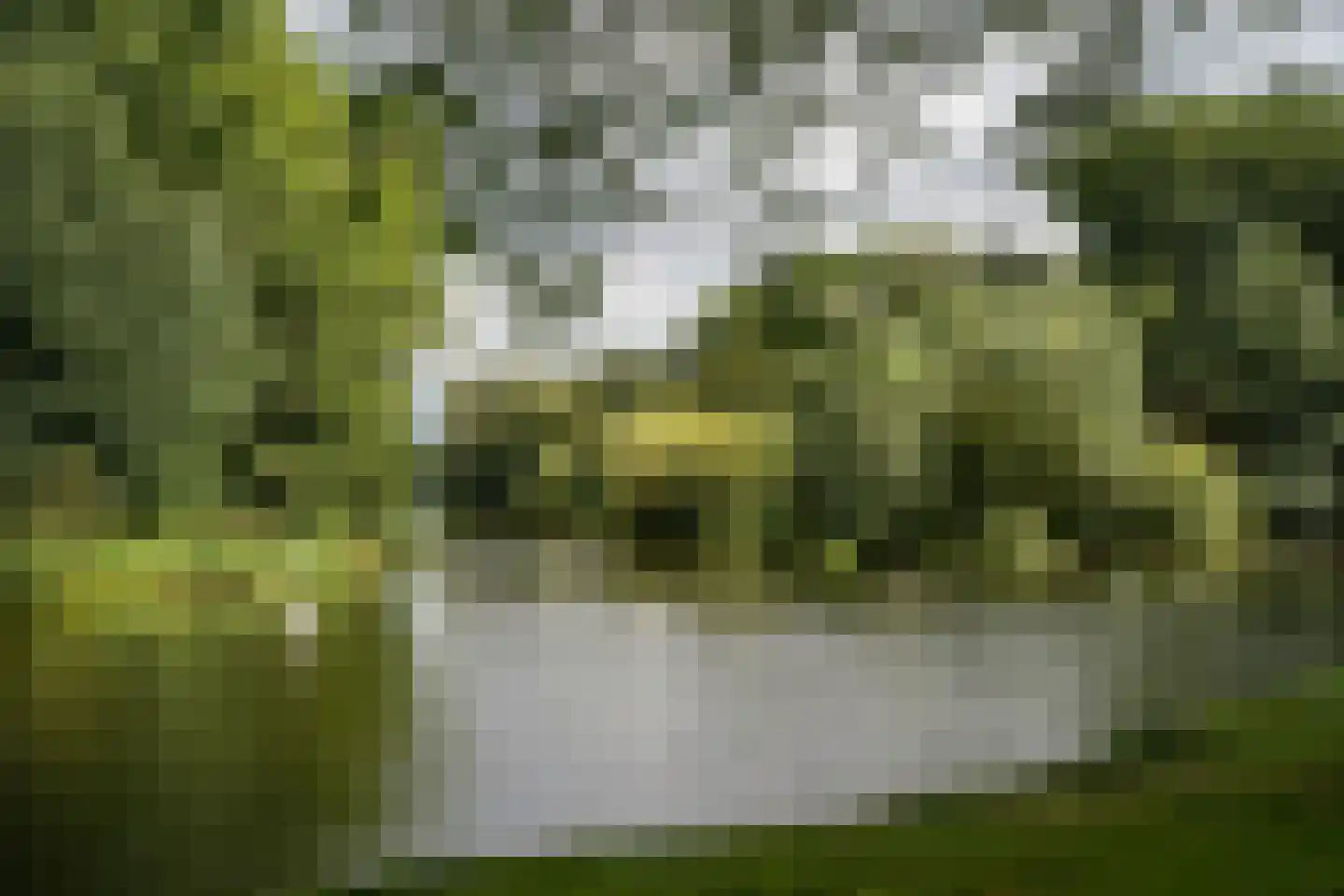 Oeverpad 418 Amsterdam thumbnail 20