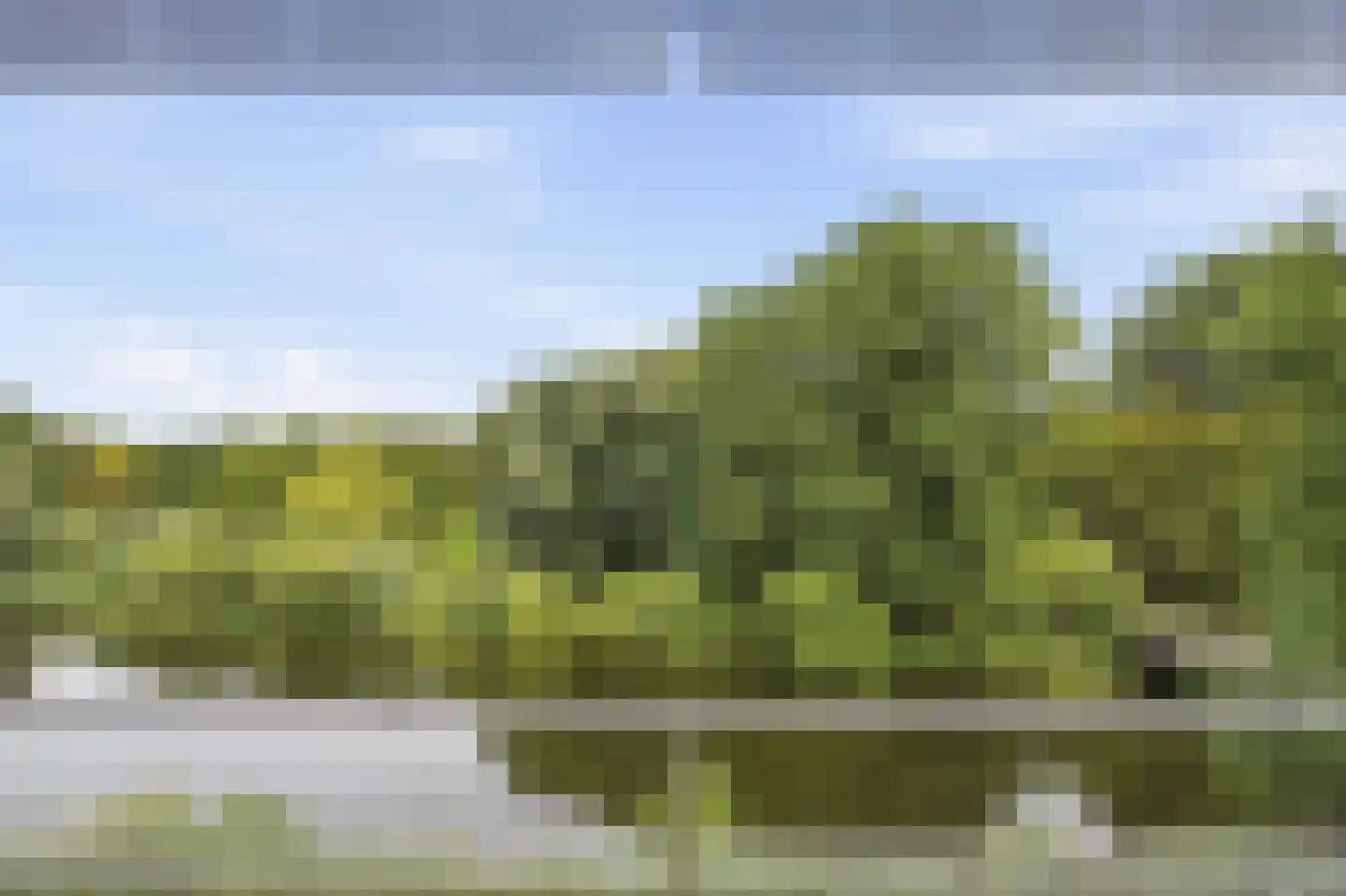 Oeverpad 431 Amsterdam thumbnail 11