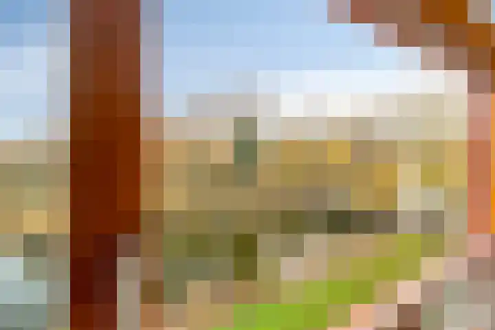 Oeverpad 433 Amsterdam thumbnail 11