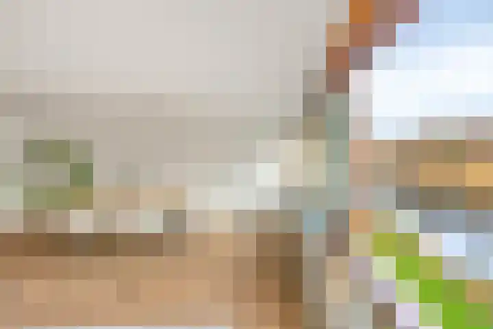 Oeverpad 433 Amsterdam thumbnail 12