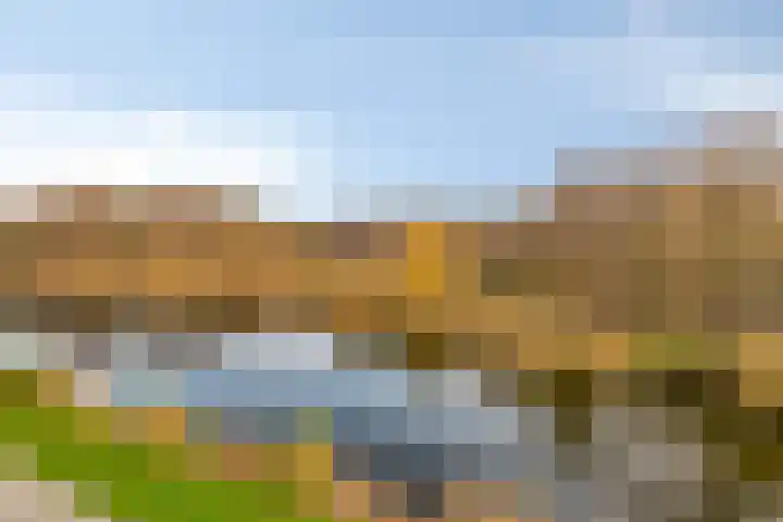 Oeverpad 433 Amsterdam thumbnail 13