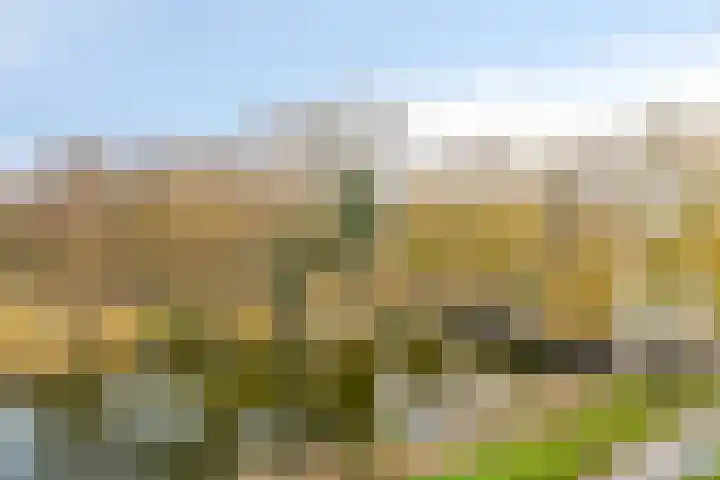 Oeverpad 433 Amsterdam thumbnail 14