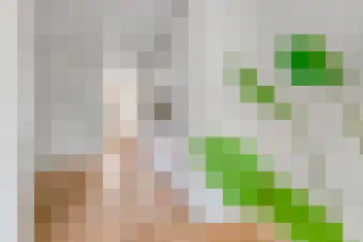 Oeverpad 433 Amsterdam thumbnail 16