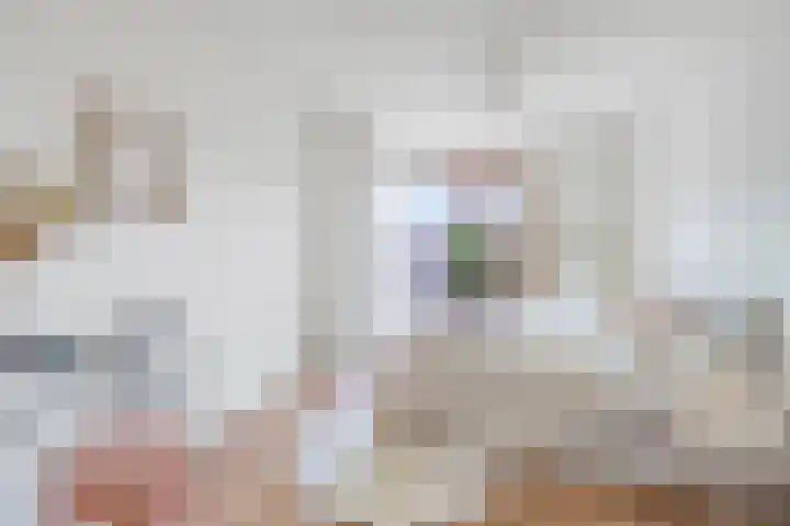 Oeverpad 433 Amsterdam thumbnail 20