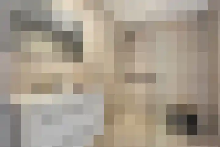 Oeverpad 433 Amsterdam thumbnail 25