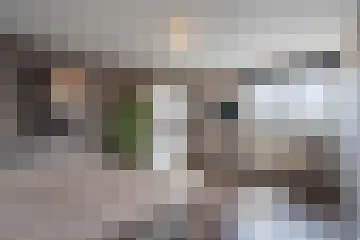 Oeverpad 433 Amsterdam thumbnail 26
