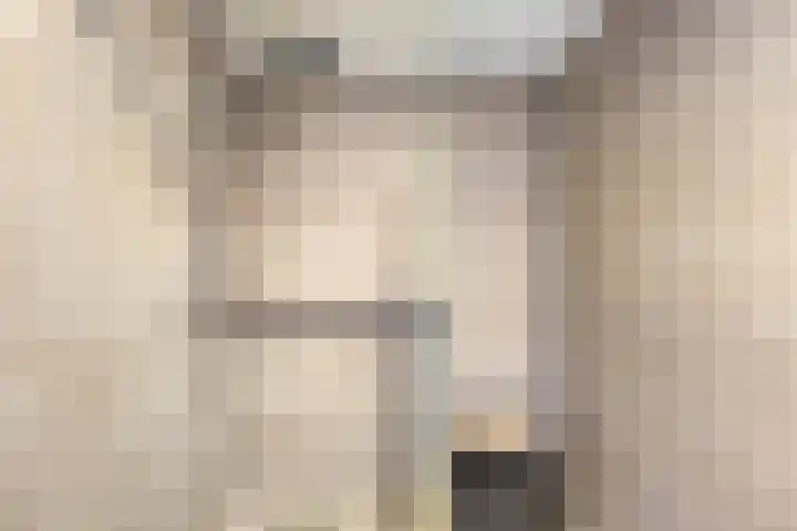 Oeverpad 433 Amsterdam thumbnail 26