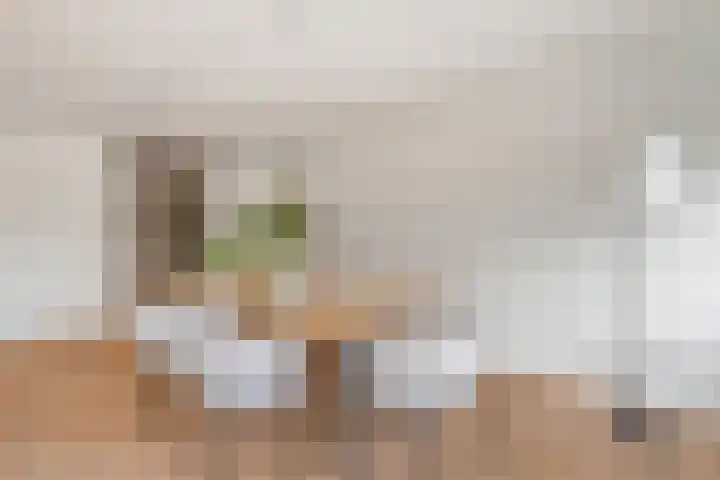 Oeverpad 433 Amsterdam thumbnail 9