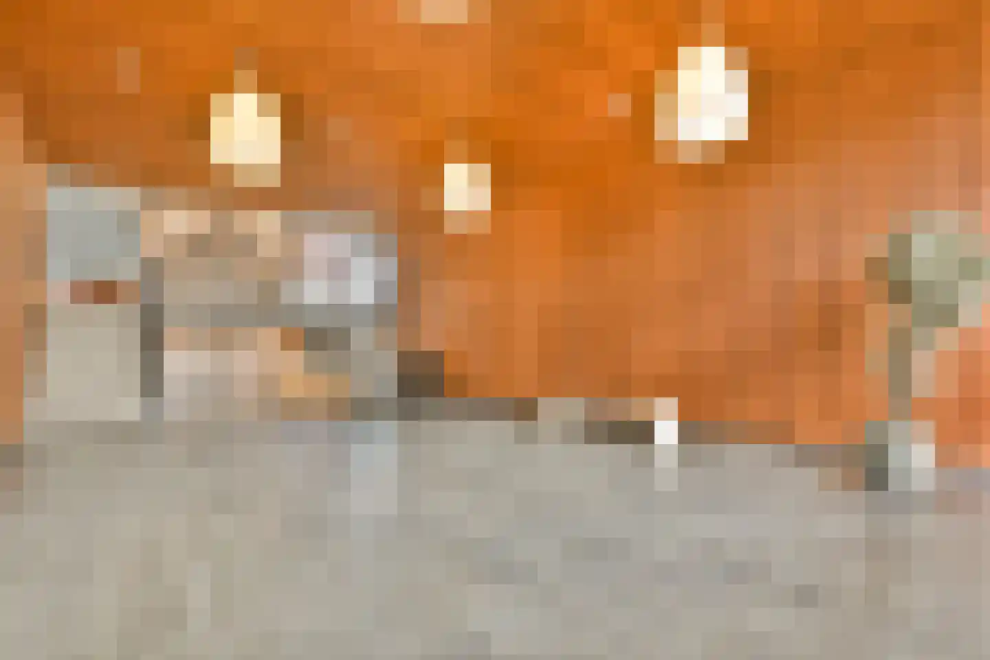 Oeverpad 498 Amsterdam thumbnail 5