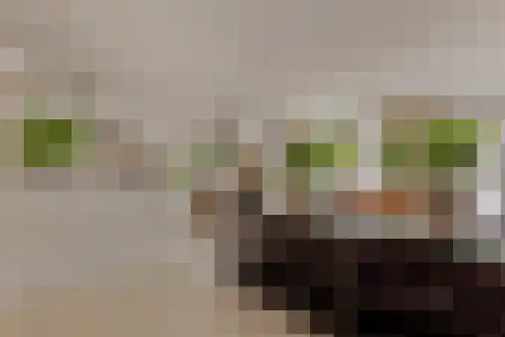 Oeverpad 506 Amsterdam thumbnail 18