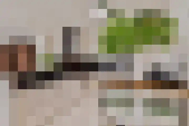Oeverpad 506 Amsterdam thumbnail 21