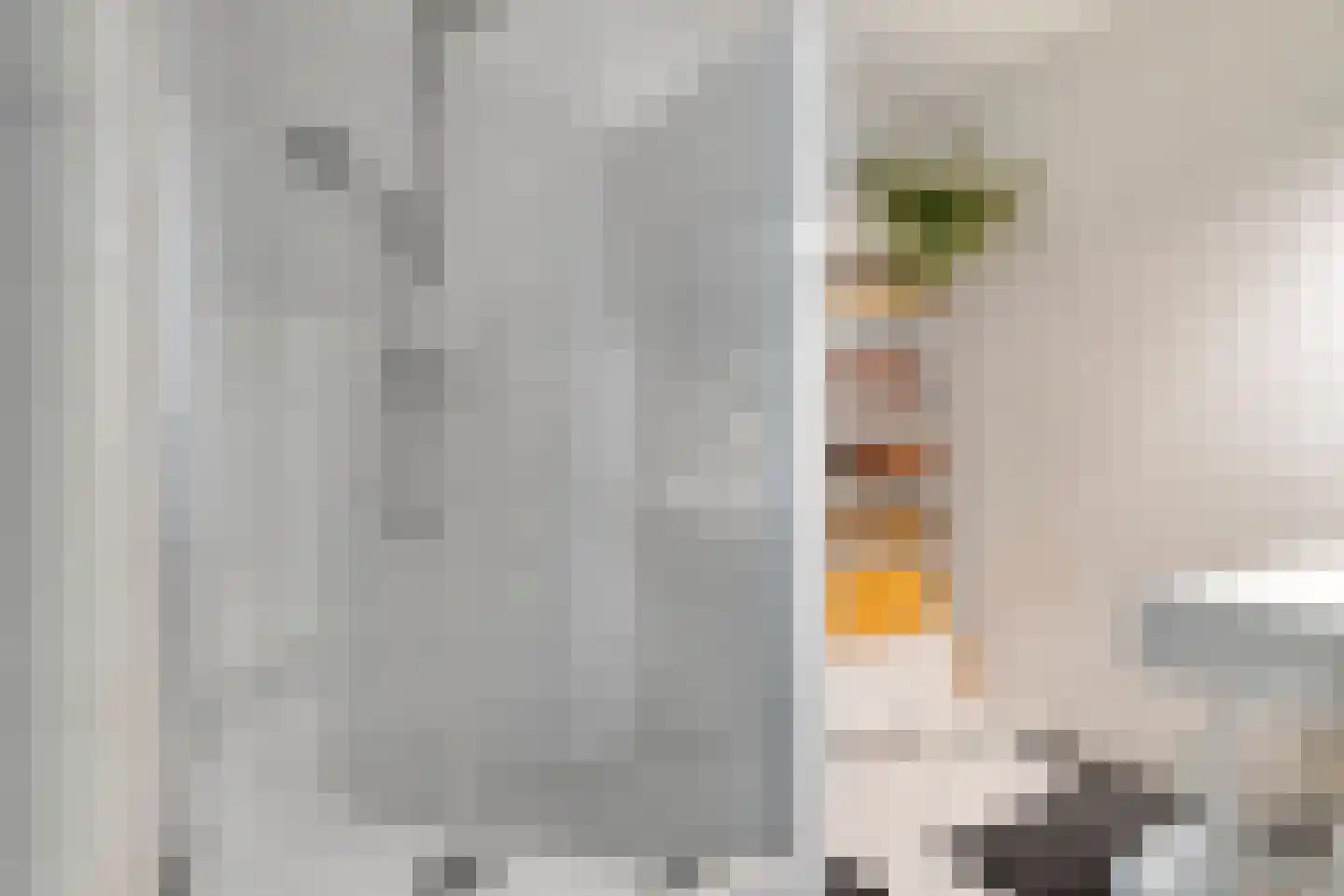 Oeverpad 506 Amsterdam thumbnail 7