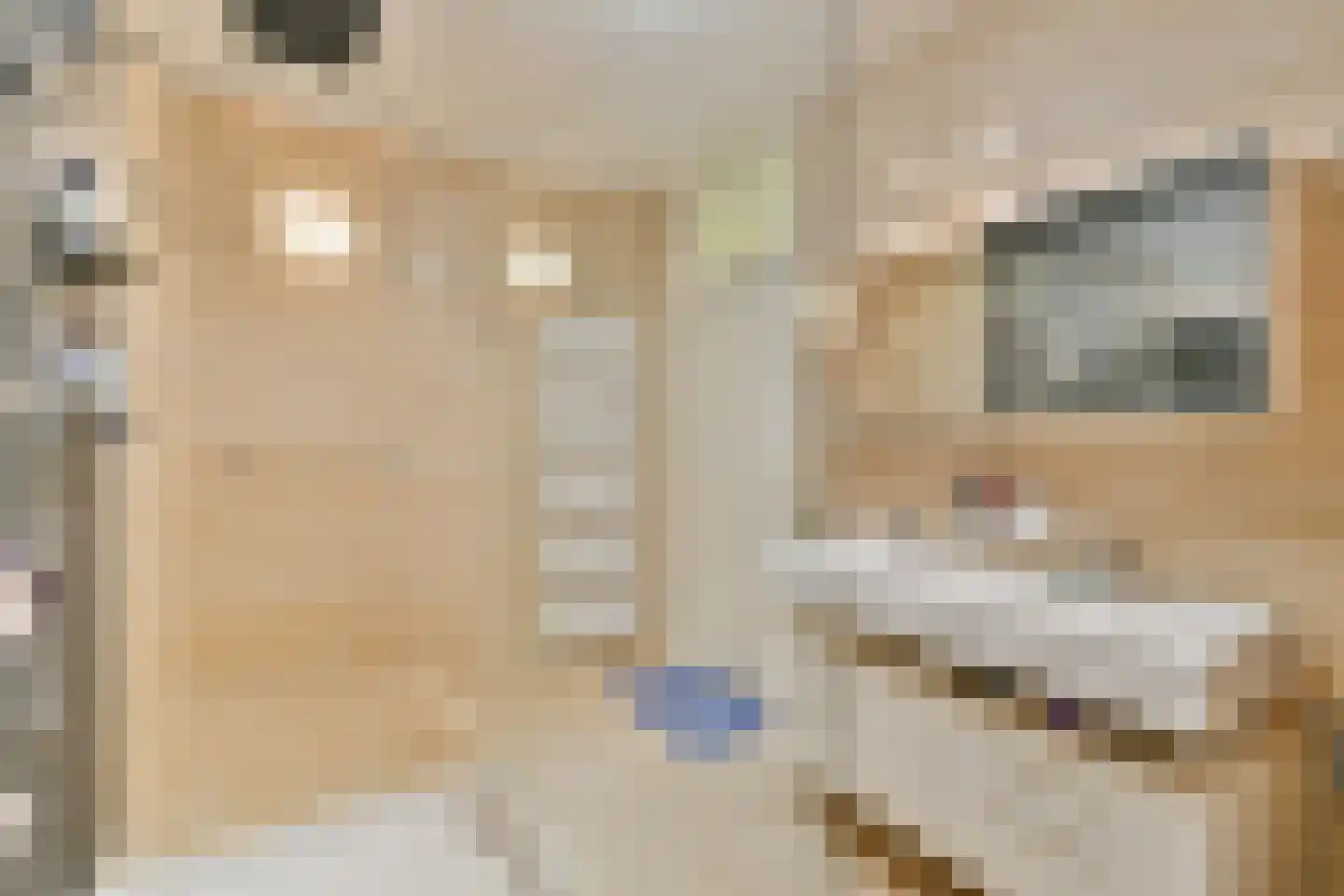 Oeverpad 515 Amsterdam thumbnail 19