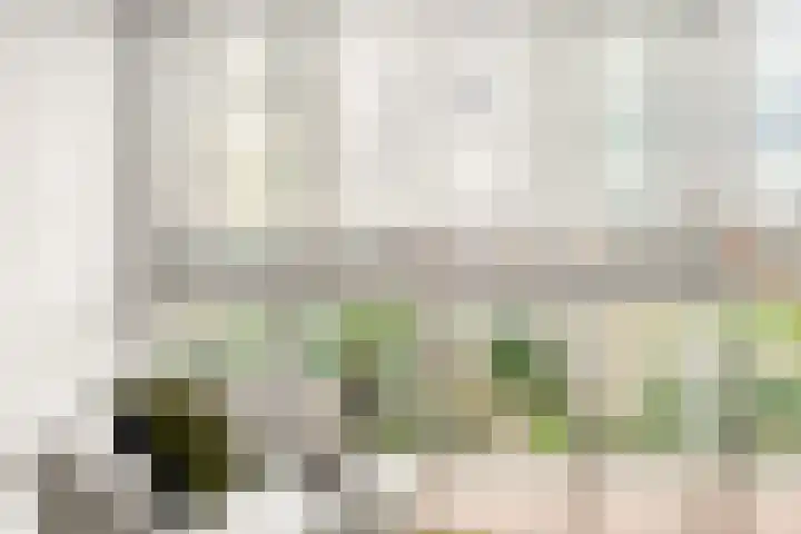 Oeverpad 520 Amsterdam thumbnail 10