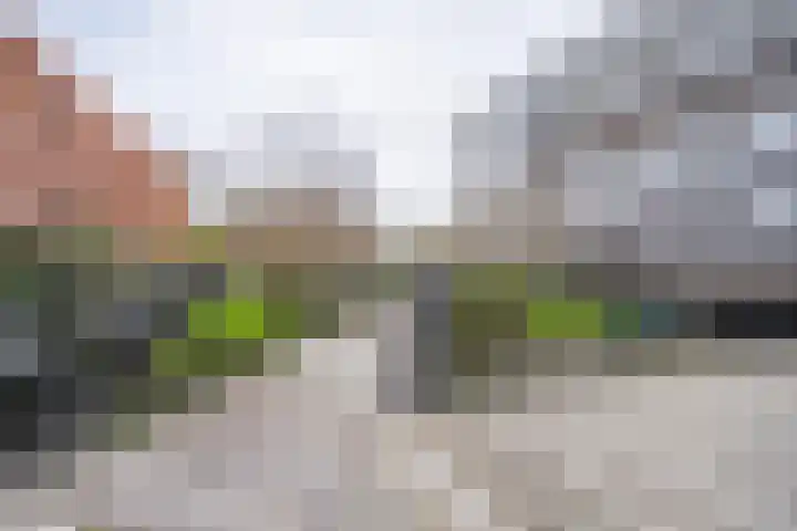 Oeverpad 520 Amsterdam thumbnail 27