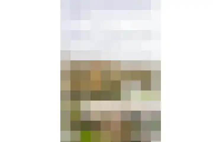 Oeverpad 520 Amsterdam thumbnail 29