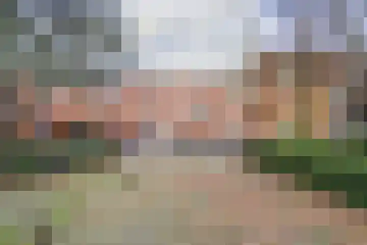 Oeverpad 520 Amsterdam thumbnail 4