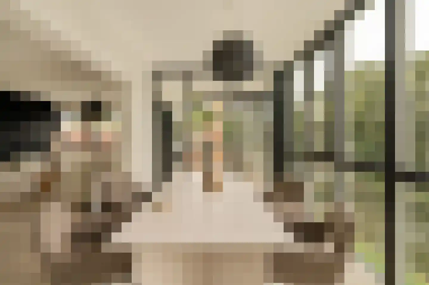 Oeverpad 564 Amsterdam thumbnail 13