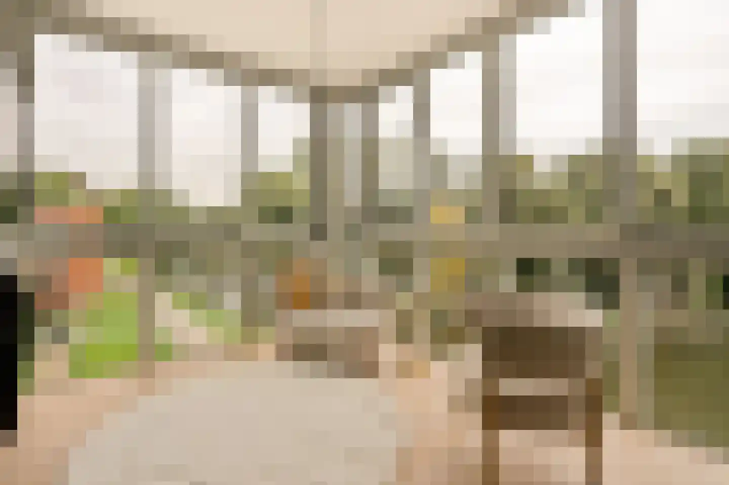 Oeverpad 564 Amsterdam thumbnail 17
