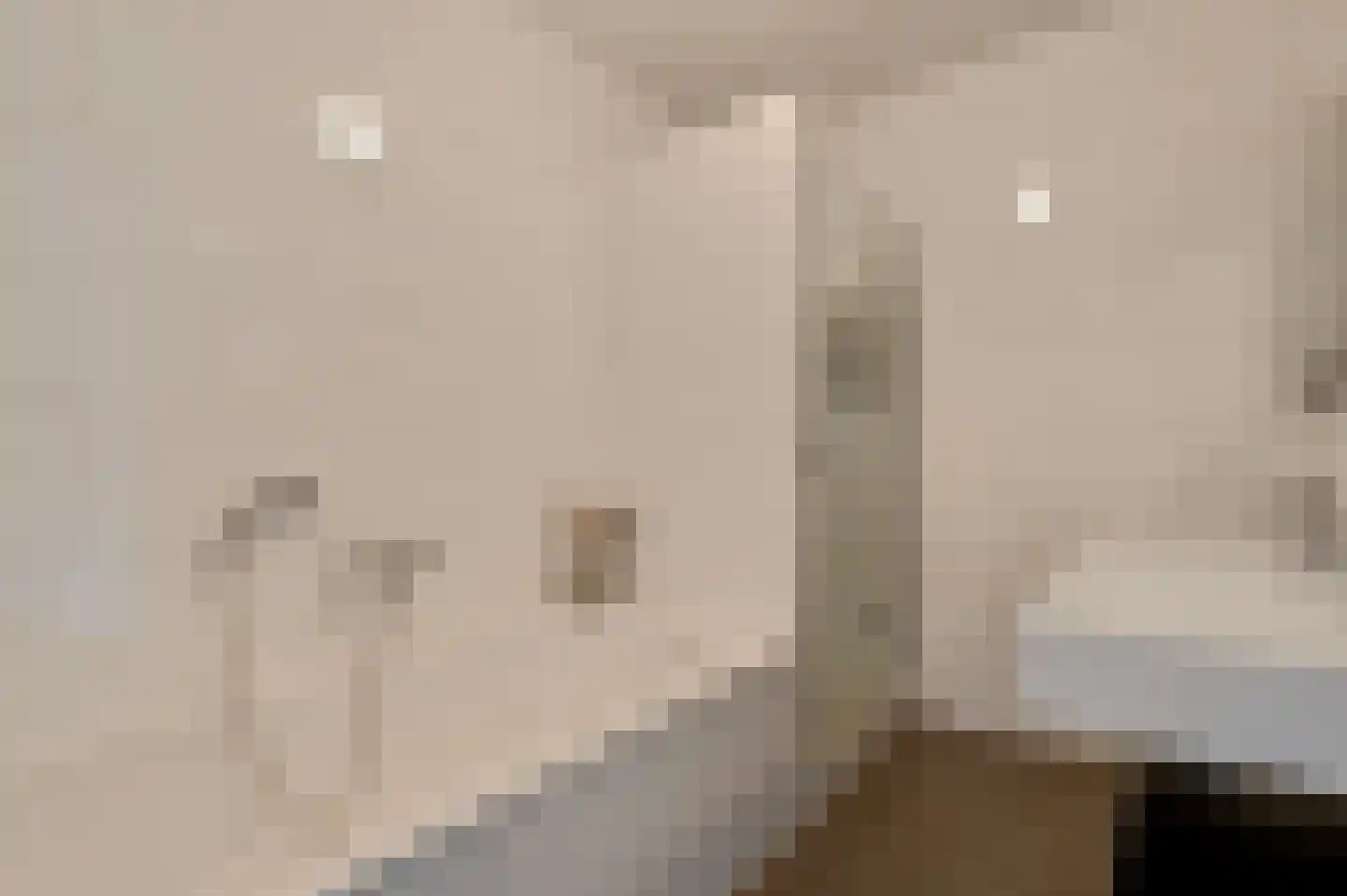 Oeverpad 564 Amsterdam thumbnail 31