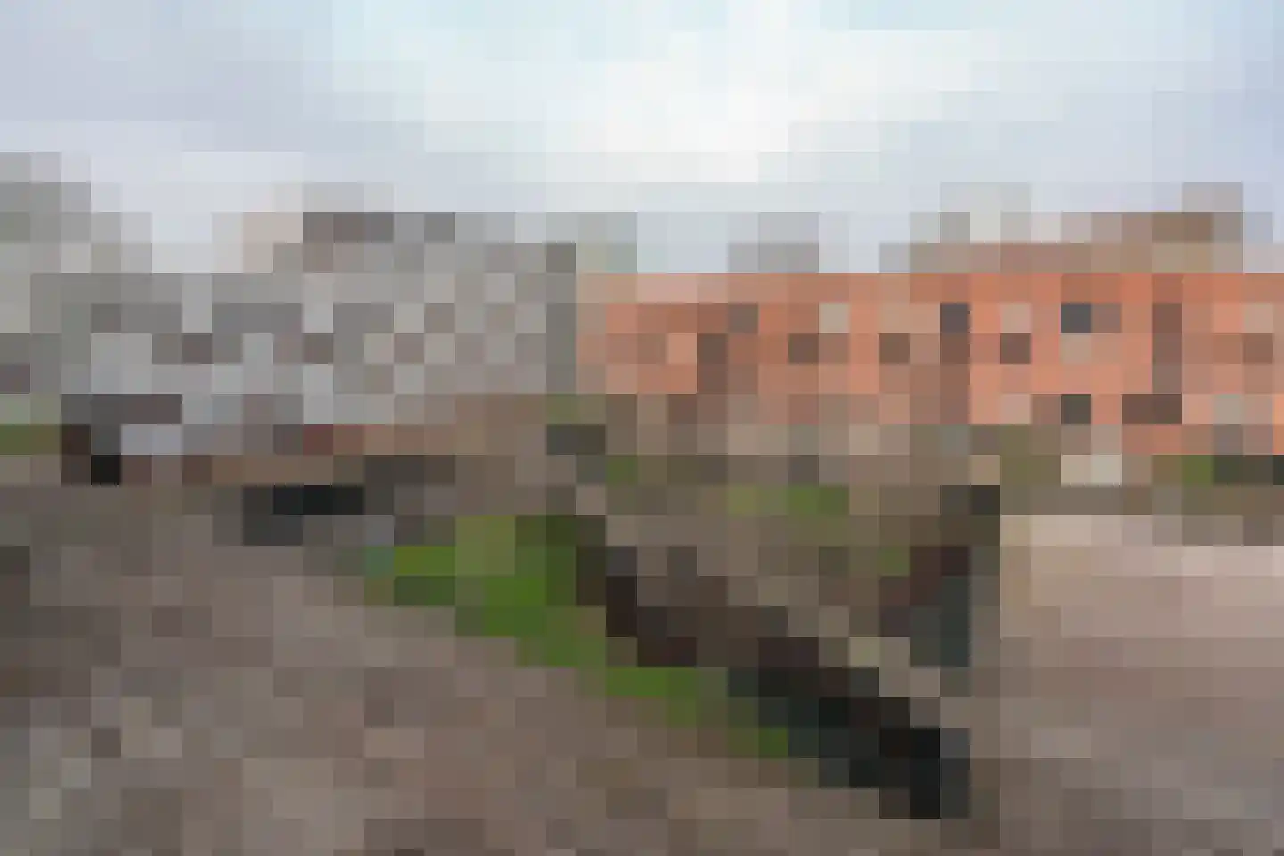 Oeverpad 564 Amsterdam thumbnail 36