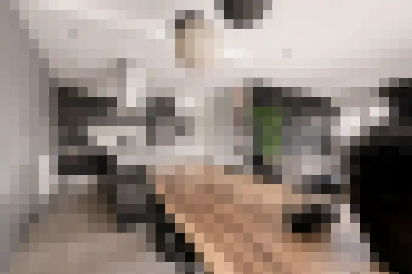 Oeverpad 564 Amsterdam thumbnail 4