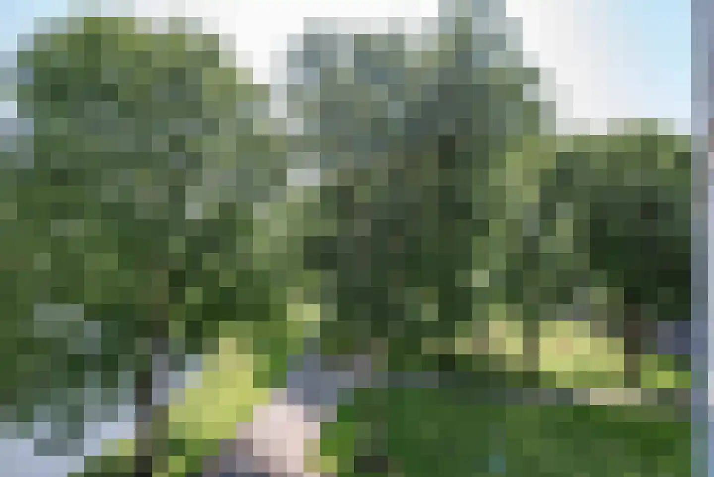 Oeverpad 564 Amsterdam thumbnail 6