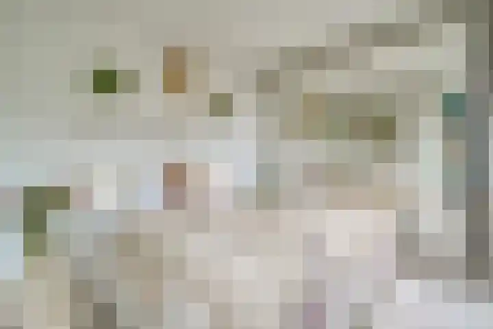 Oeverpad 566 Amsterdam thumbnail 17