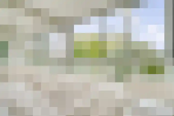 Oeverpad 566 Amsterdam thumbnail 18