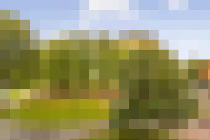 Oeverpad 566 Amsterdam thumbnail 29
