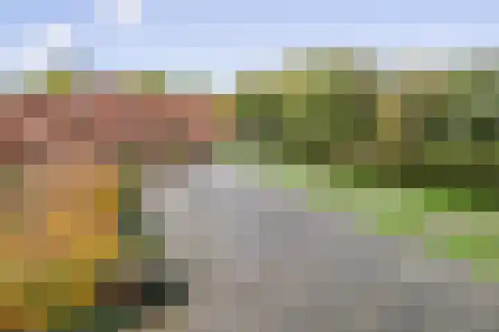 Oeverpad 566 Amsterdam thumbnail 33