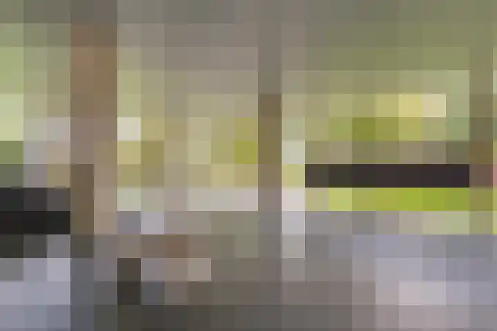 Oeverpad 566 Amsterdam thumbnail 34