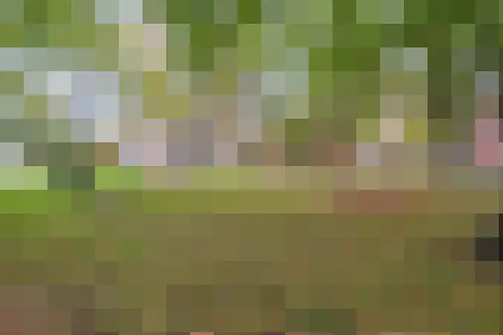 Oeverpad 566 Amsterdam thumbnail 37