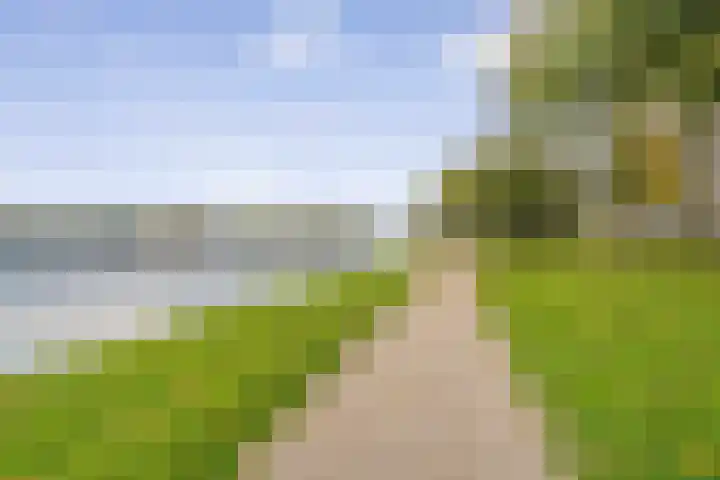 Oeverpad 566 Amsterdam thumbnail 38