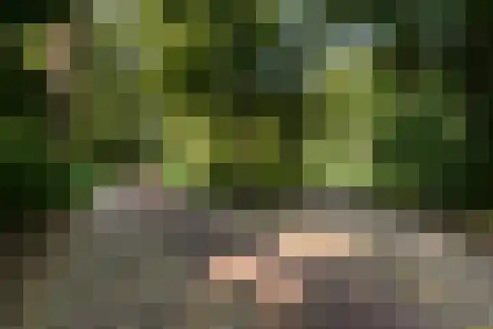 Oeverpad 566 Amsterdam thumbnail 44