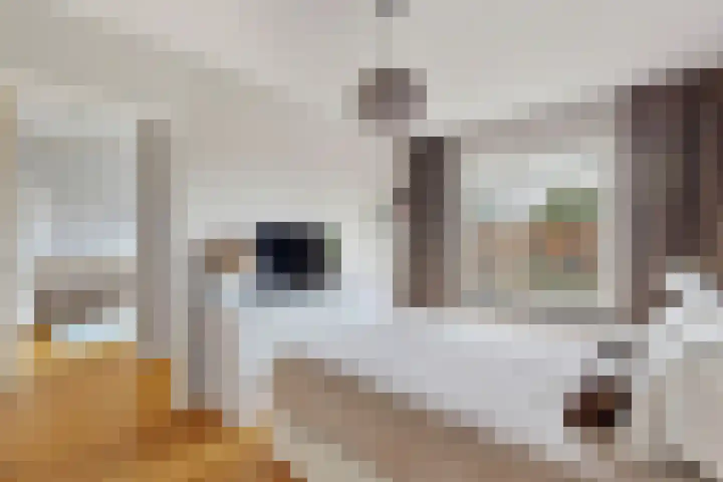 Oeverpad 567 Amsterdam thumbnail 25